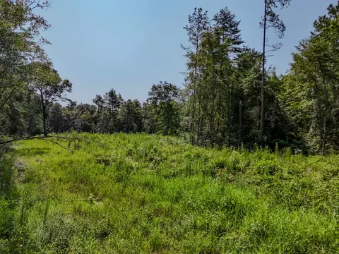 Other - 3128 County Road 10, Samson, AL 36477 photo 19 of 23