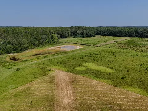 View/Area - 3128 County Road 10, Samson, AL 36477 photo 14 of 20