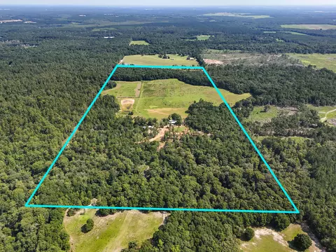 View/Area - 3128 County Road 10, Samson, AL 36477 photo 20 of 20