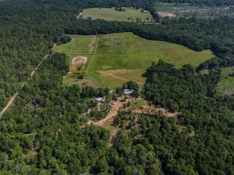 View/Area - 3128 County Road 10, Samson, AL 36477 photo 13 of 20