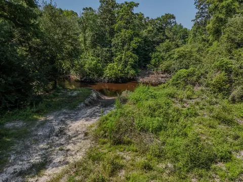 View/Area - 3128 County Road 10, Samson, AL 36477 photo 7 of 20