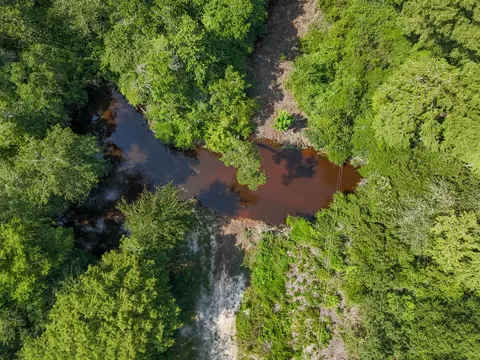 View/Area - 3128 County Road 10, Samson, AL 36477 photo 8 of 20