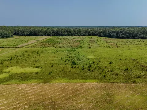 Other - 3128 County Road 10, Samson, AL 36477 photo 22 of 23