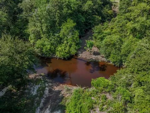 View/Area - 3128 County Road 10, Samson, AL 36477 photo 4 of 20