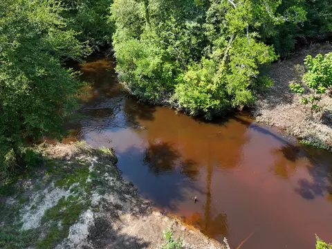 View/Area - 3128 County Road 10, Samson, AL 36477 photo 5 of 20
