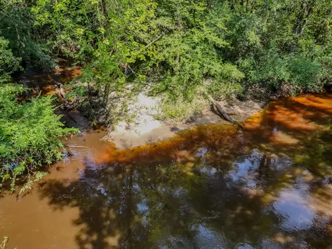View/Area - 3128 County Road 10, Samson, AL 36477 photo 10 of 20