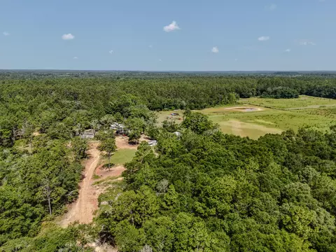 View/Area - 3128 County Road 10, Samson, AL 36477 photo 18 of 20