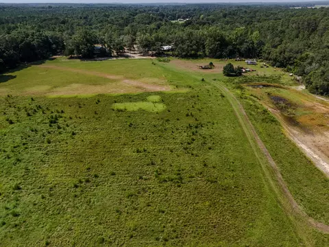 View/Area - 3128 County Road 10, Samson, AL 36477 photo 15 of 20
