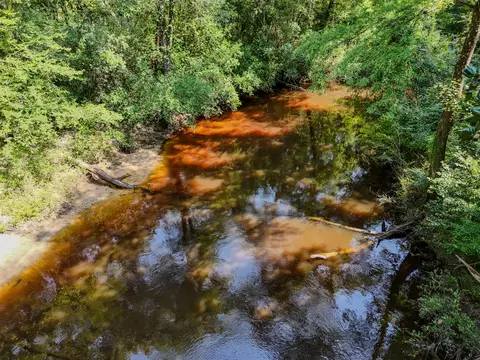 View/Area - 3128 County Road 10, Samson, AL 36477 photo 11 of 20