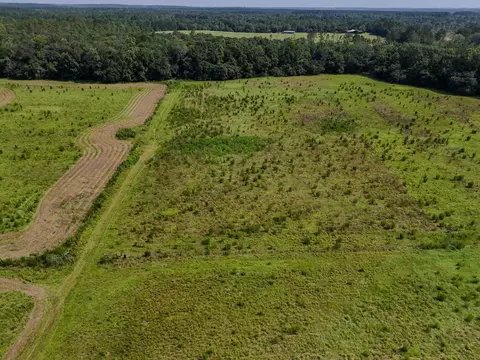View/Area - 3128 County Road 10, Samson, AL 36477 photo 16 of 20