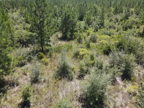 A-12 Silas Drive, Milton, FL 32570 photo 3