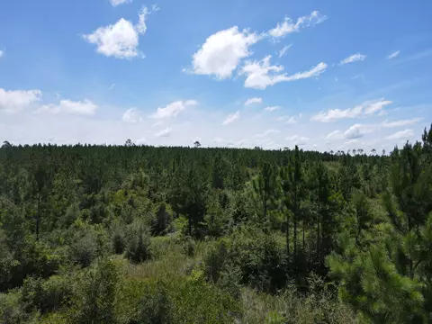 A-12 Silas Drive, Milton, FL 32570 photo 10