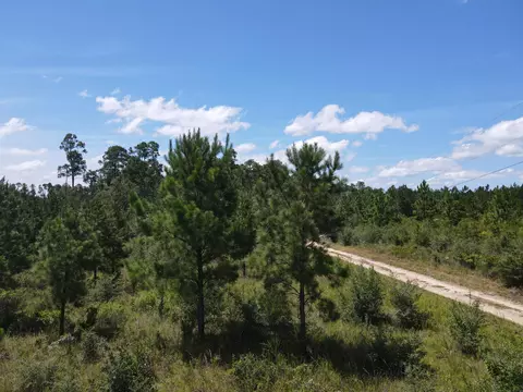 A-12 Silas Drive, Milton, FL 32570 photo 14