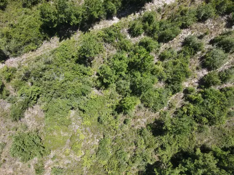 A-12 Silas Drive, Milton, FL 32570 photo 9