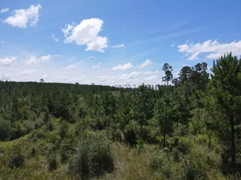 A-12 Silas Drive, Milton, FL 32570 photo 13