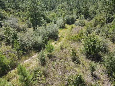 A-12 Silas Drive, Milton, FL 32570 photo 8