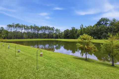 View/Area - 130 Lumen Loop, Freeport, FL 32439 photo 7 of 7