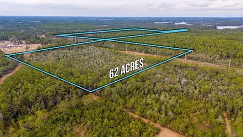 62 Acres Maes Ln, Defuniak Springs, FL 32433
