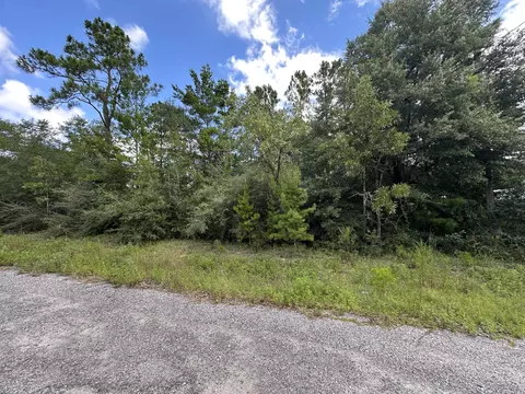 tbd Pinetree Ln, Defuniak Springs, FL 32433