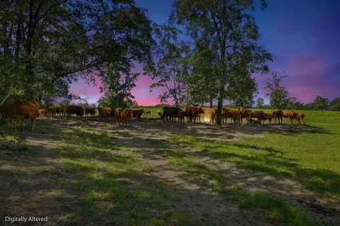 520 Acres Us Hwy 331 N, Defuniak Springs, FL 32433