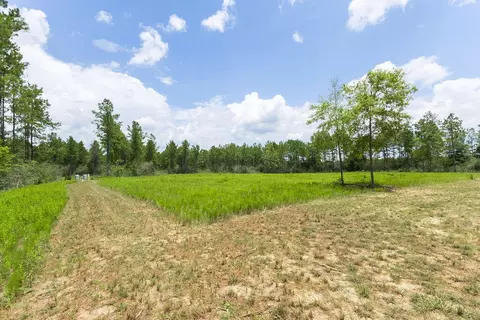 lot47 Naturewalk Dr, Pace, FL 32571 photo 4