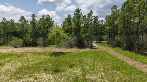 lot47 Naturewalk Dr, Pace, FL 32571 photo 7
