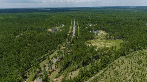 lot47 Naturewalk Dr, Pace, FL 32571 photo 14