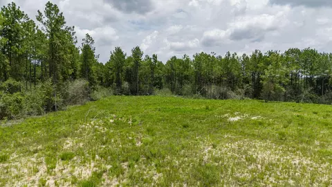 lot47 Naturewalk Dr, Pace, FL 32571 photo 10