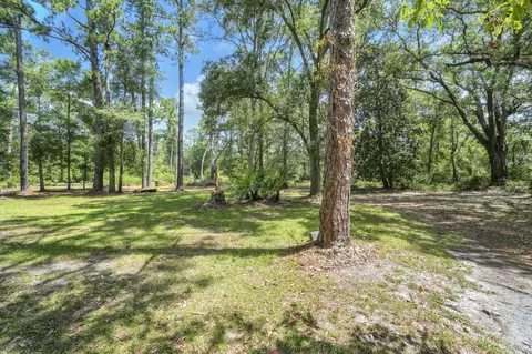 41 Frog Hill Rd, Freeport, FL 32439 photo 9