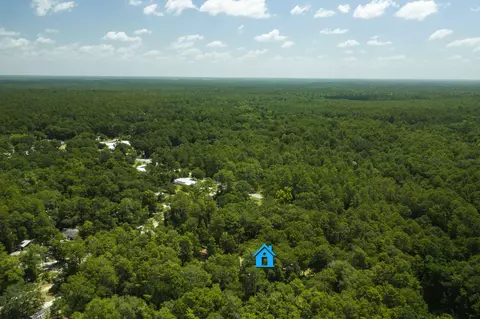 41 Frog Hill Rd, Freeport, FL 32439 photo 28