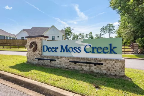 View/Area - 1156 Deer Moss Loop, Niceville, FL 32578 photo 3 of 7