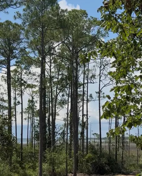 lot8 19th St, Santa Rosa Beach, FL 32459