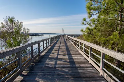 View/Area - 264 Eagle Dr, Miramar Beach, FL 32550 photo 16 of 21