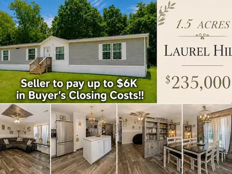 3984 1st Ave, Laurel Hill, FL 32567