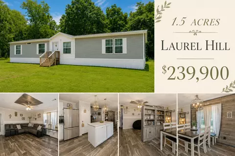 3984 1st Ave, Laurel Hill, FL 32567