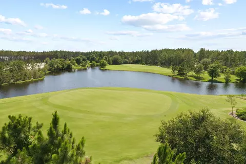 View/Area - 227 Suwannee Dr, Inlet Beach, FL 32461 photo 4 of 5