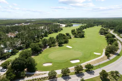 View/Area - 227 Suwannee Dr, Inlet Beach, FL 32461 photo 3 of 5