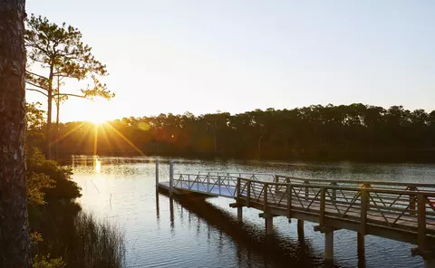 View/Area - 278 Pollard Cv E #LOT 122, Watersound, FL 32461 photo 4 of 9