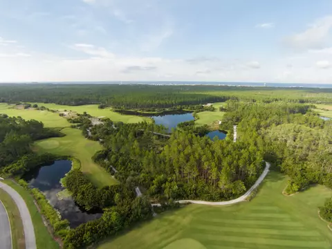 View/Area - 278 Pollard Cv E #LOT 122, Watersound, FL 32461 photo 2 of 9