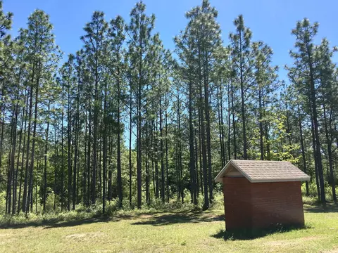 Other - 6051 Tupelo St, Crestview, FL 32539 photo 15 of 16