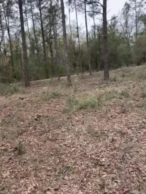 lot28 E 29 E Black Cherry Dr, Defuniak Springs, FL 32433