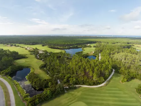 View/Area - 116 Hutton Cv #LOT 58, Watersound, FL 32461 photo 4 of 9