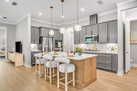 10 Skimmer Cove Loop # -A, Watersound, FL 32461 photo 8
