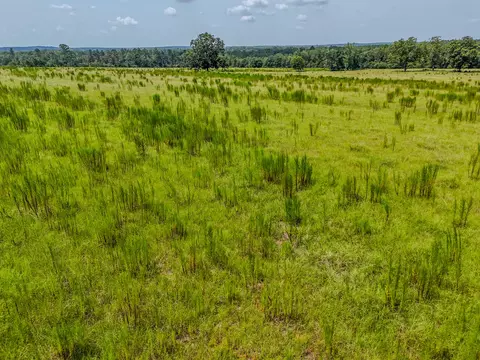 3958 Gopher Ridge Rd, See Remarks, AL photo 16