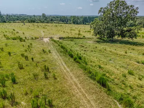 3958 Gopher Ridge Rd, See Remarks, AL photo 20