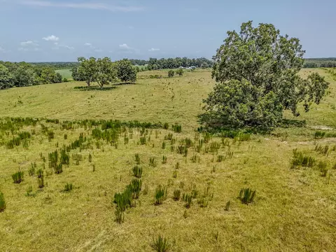 3958 Gopher Ridge Rd, See Remarks, AL photo 24