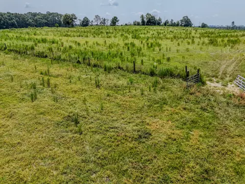 3958 Gopher Ridge Rd, See Remarks, AL photo 15