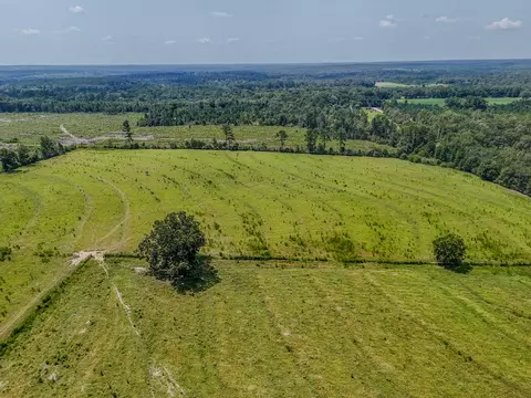 3958 Gopher Ridge Rd, See Remarks, AL photo 2