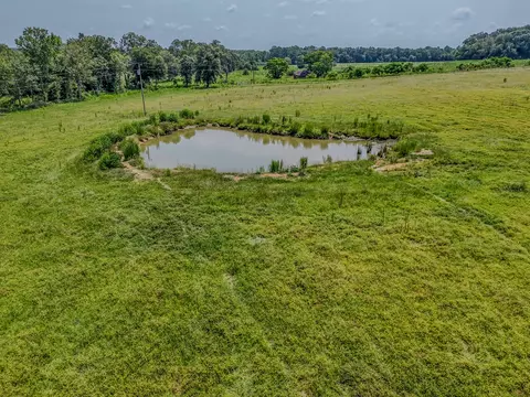 3958 Gopher Ridge Rd, See Remarks, AL photo 12