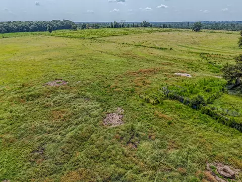 3958 Gopher Ridge Rd, See Remarks, AL photo 10